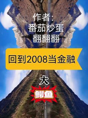 穿越回到2008