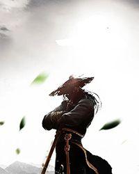 武魔独尊百科