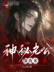 神秘老公深夜来全文免费
