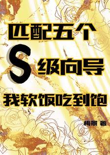 匹配五个s级向导我软饭吃到饱