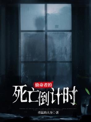 偷命完结