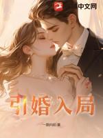 引婚入局txt