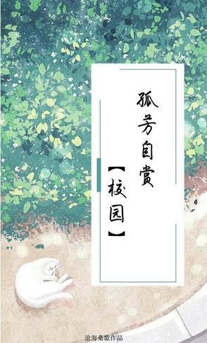 孤芳自赏!