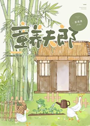 裴家夫郎讲的什么