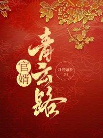 官路青云梯笔趣阁