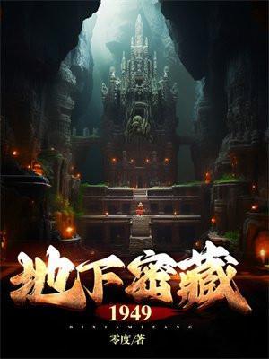 地下藏书什么意思