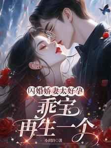 闪婚甜妻一胎二宝已签到