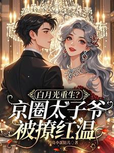 白月光太子妃带球跑了