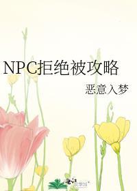 npc拒绝被攻略txt