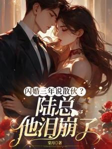 闪婚三年说散伙陆总他泪崩了