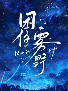 困住雾野免费阅读