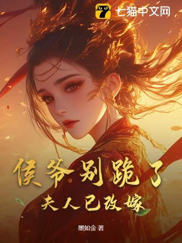 夫人又和离了