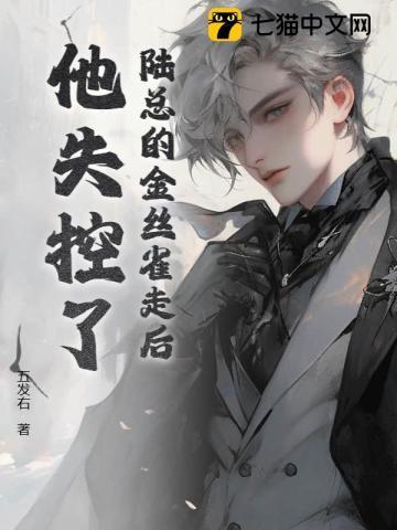 陆总gl