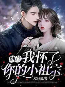 陆总我怀了你的小祖宗完整版哪能看