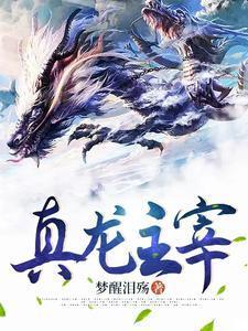 真龙主宰吧