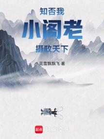 知否我小阁老摄政天下番外