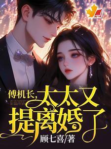 男主姓傅的机长