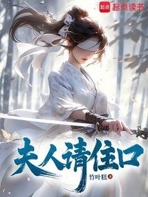 夫人请住手在线阅读