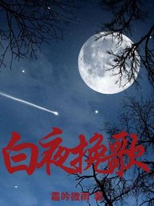 白夜歌词意思