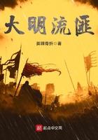大明流匪起点中文网