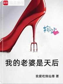 我的老婆是天后百度百科