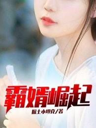 霸婿崛起韩枫