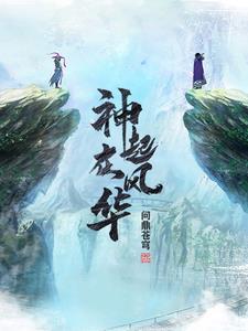 四时风华起