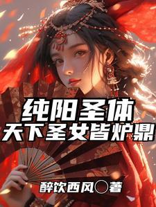 纯阳武圣免费阅读