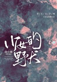 少女的野犬百度txt