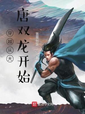 穿越从大唐双龙传开始的