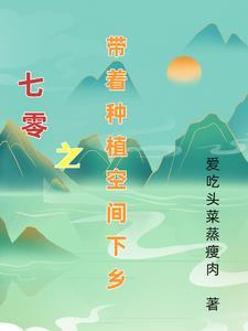 重生之七零带着空间去种田
