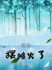她靠摆摊火了txt电子书