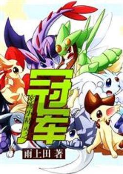 宠物小精灵之冠军归来