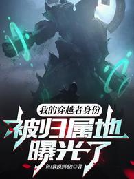 穿越者穿越了自己扫书