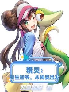 神奇宝贝之新生小智笔趣阁
