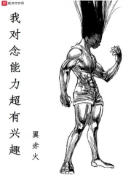 念能力中有哪一种