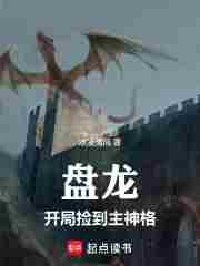 盘龙之开局
