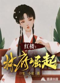 红楼林府崛起114中文网