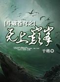 斗破苍穹 之无上巅峰