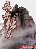 五岳独尊烟多少钱一包