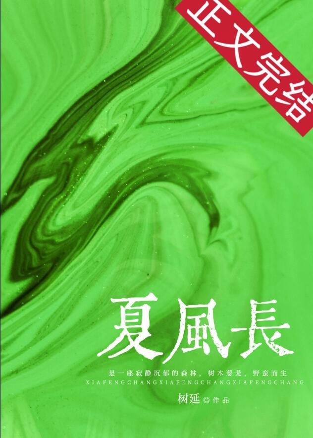 夏风长简介