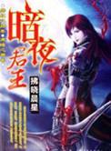 暗夜君王拂晓晨星人物介绍