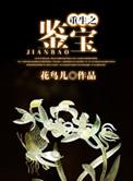 重生之鉴宝类