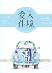 爱入佳境未删减版
