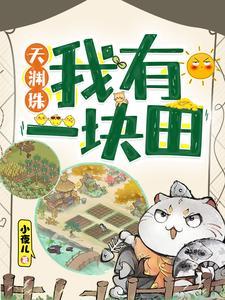 天渊珠我有一块田TXT