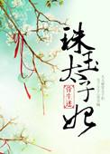 太子妃玉瑶是哪部电视剧