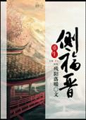 重生侧福晋之逆命txt