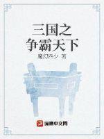 三国之征霸天下