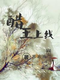醋王